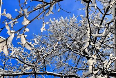 Народные приметы на 5 февраля: кому паутина принесет богатство и почему опасно смотреть на небо