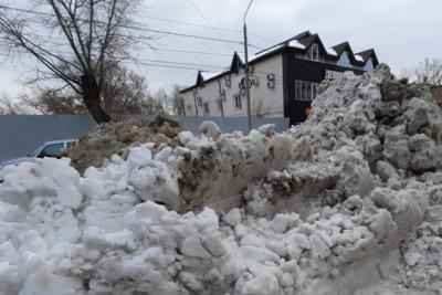 Опасность станет очевидной уже к майским &laquo;каникулам&raquo;: ждем нашествия кровососов
