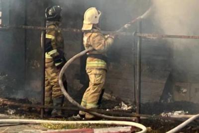 ВСУ атаковали химзавод, есть погибшие и раненые - глава региона закрыл все школы и детсады