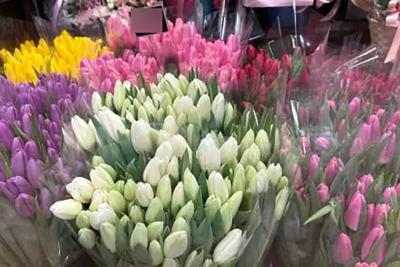 В этом году голландцы подложат свинью мужчинам. Ценники в Сызрани на цветы уже рванули вверх