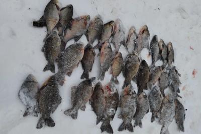 Сети, сани и ведро: браконьер из Сызрани устроил незаконную рыбалку на Волге