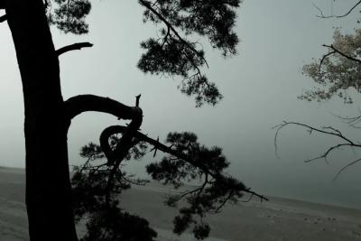 Полицейский патруль случайно оказался рядом: речь шла о жизни и смерти жителя Сызрани