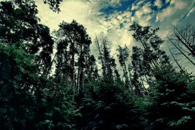 В Самарской области определились с датой начала сезона охоты