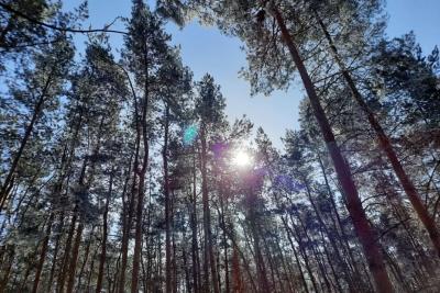 Народные приметы на 26 марта: кому в этот день грозит развод и что нельзя брать в долг, иначе беда