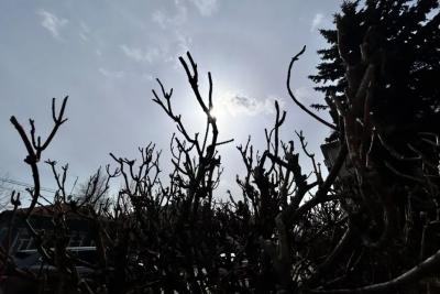 Приметы на 31 марта: почему нельзя пускать непрошеных гостей и совершать крупные покупки