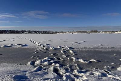 Рыбак из Сызрани с диким криком ушел под лед: очевидцы и ахнуть не успели