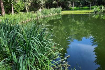 Комары выбирают жертву в толпе по запаху, температуре тела и одежде