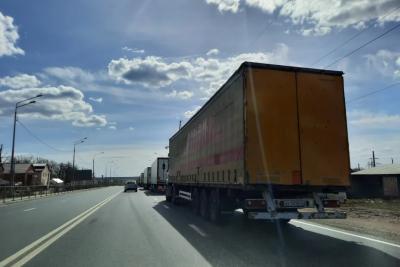 Около Сызрани из авто сбежала лошадь: приметы - серая, хромает