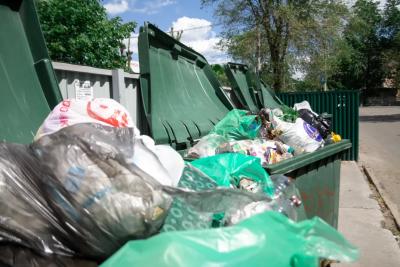 Прекратите оставлять еду и миски с водой: в Сызрани крысы табунами полезли из всех щелей
