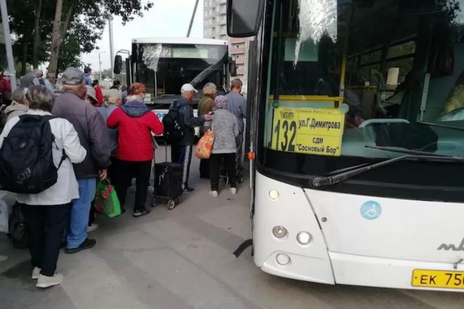 Дачные автобусы начнут ходить по 30 маршрутам в Самаре с 20 апреля