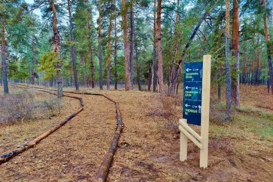 В Бузулукском бору в Самарской области появятся гостевые дома и визит-центр