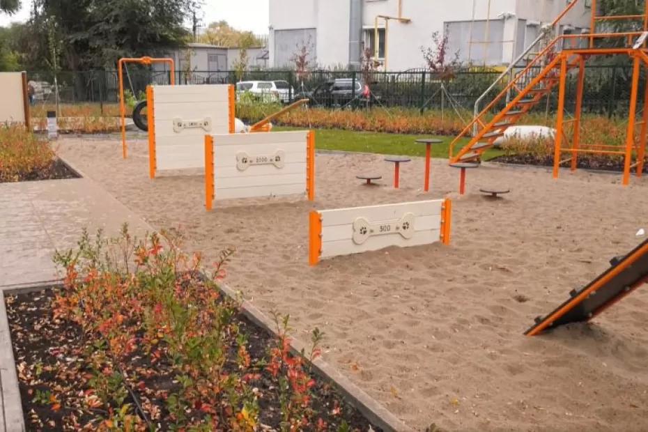 Программу создания площадок для выгула собак подготовят в Самаре