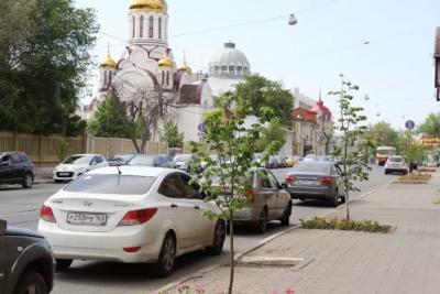 В Самаре пересадили на новые участки 36 каштанов и лип с улицы Куйбышева