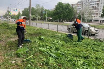 На газонах Самары удаляют сорные и аллергенные травы