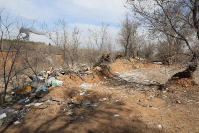 Мусорящих нарушителей в Самарской области оштрафовали уже на 2,6 млн рублей