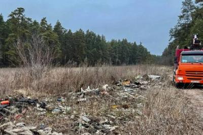 Из лесов Самарской области вывезли более 340 тонн бытового мусора