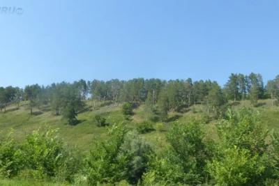 Леса Самарской области будут патрулировать с помощью новых беспилотников