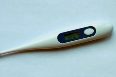 Самозанятые Самарской области с 2026 года могут получать выплаты по больничным