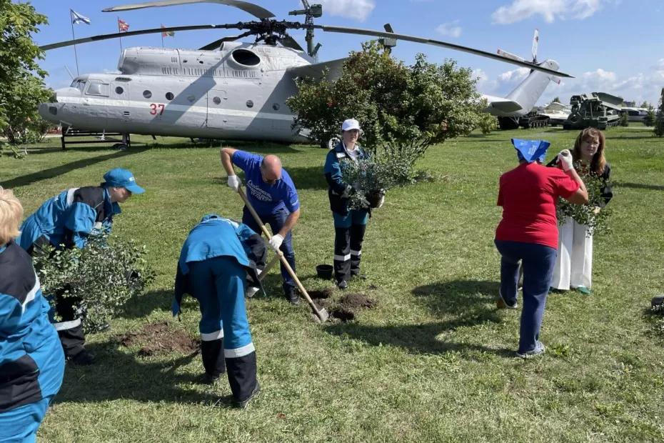 В Самарской области прошла всероссийская акция «Особенности национальной уборки»