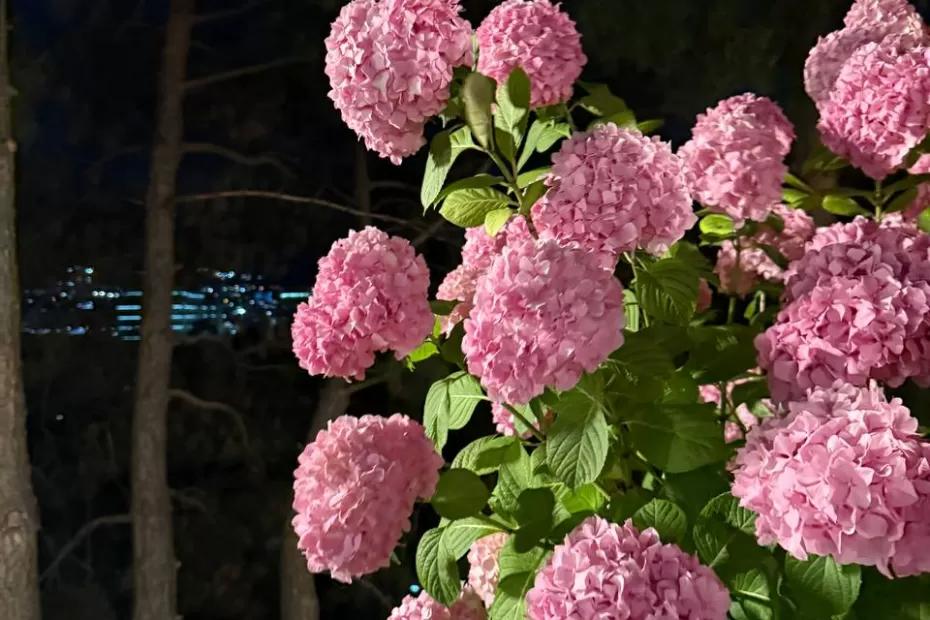 «К нам приближается волна холода»: погода в конце недели заставит тепло одеться, температура резко упадет