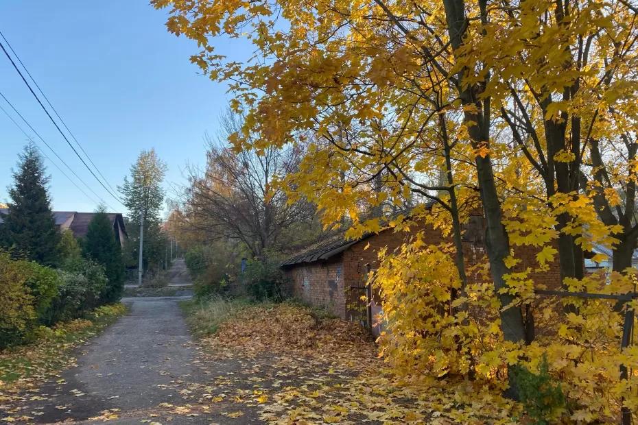 Бабье лето-2025: метеорологи определили, сколько будет длиться летнее тепло