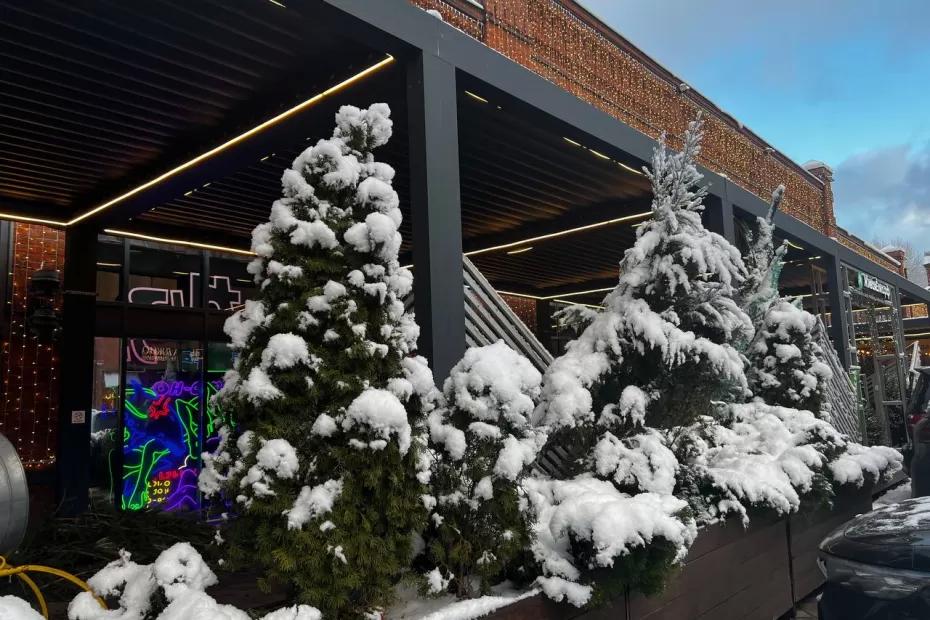 «Вся зима будет аномальная». Синоптики рассказали, к чему нужно готовиться уже сейчас