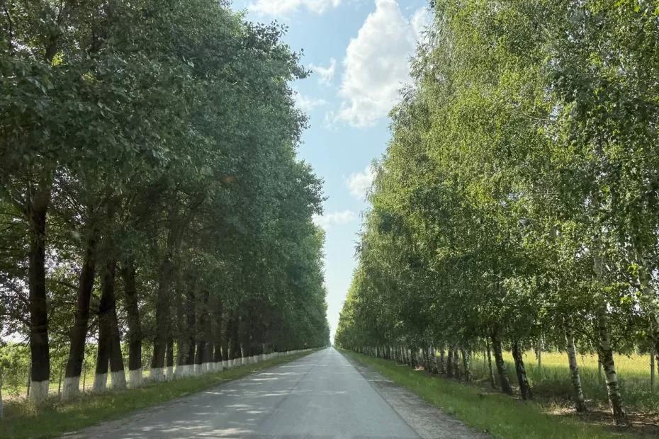 «Октябрь будет абсолютно аномальным». Синоптики сказали, что нас ждёт в середине осени