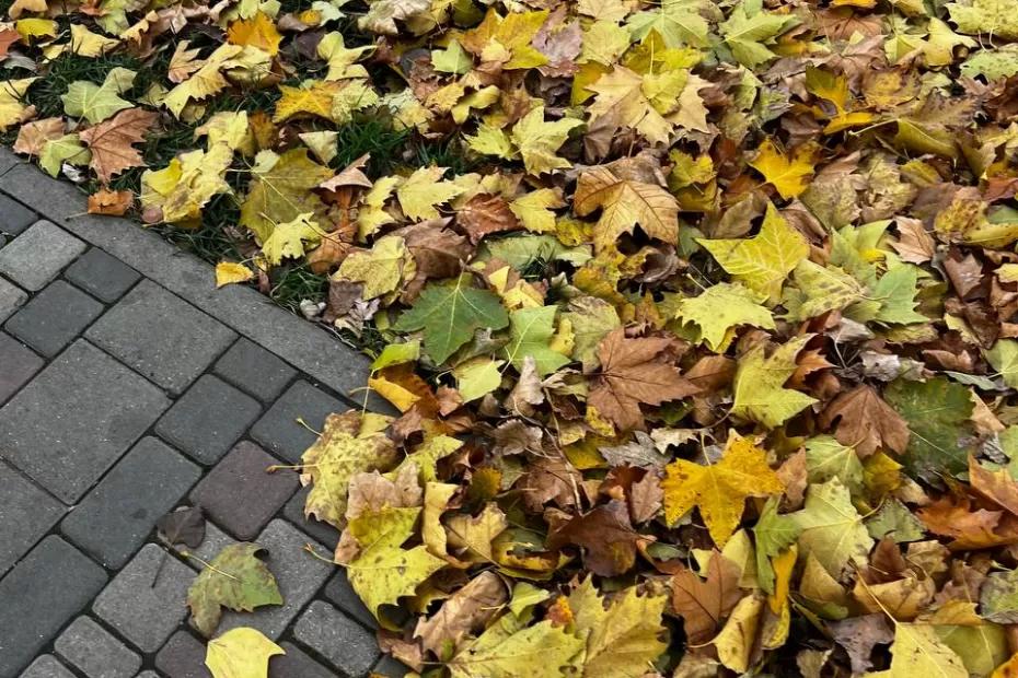 Нас ждет сентябрь без «бабьего лета» - синоптики дали точный прогноз до зимы 2025 года