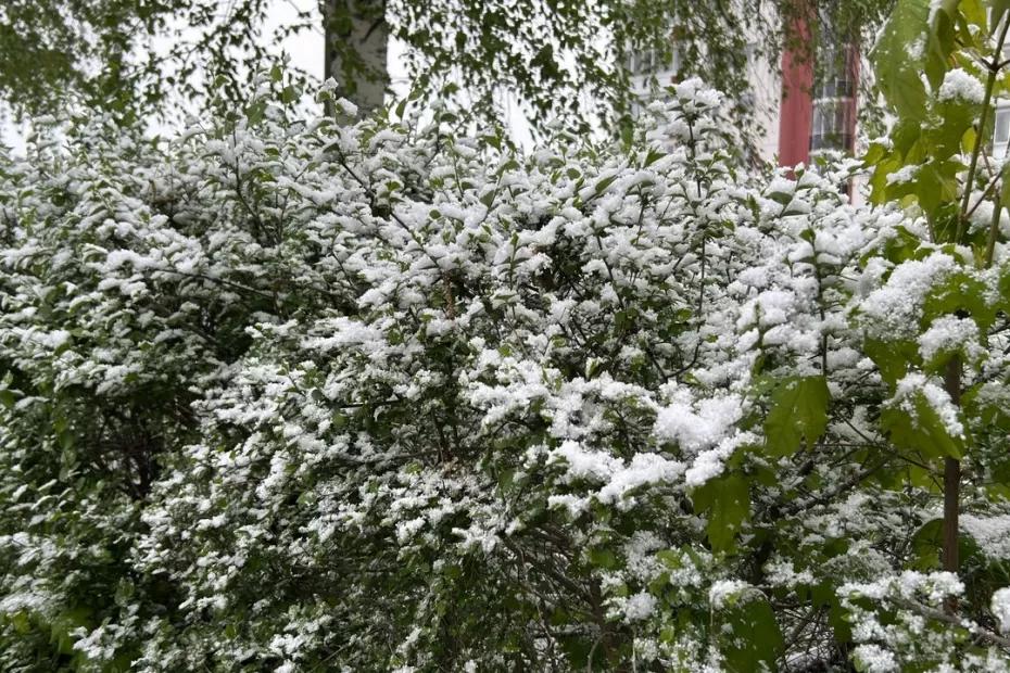 Снежный аккорд наступающей осени: Синоптики объявили о рекордном похолодании в следующих регионах