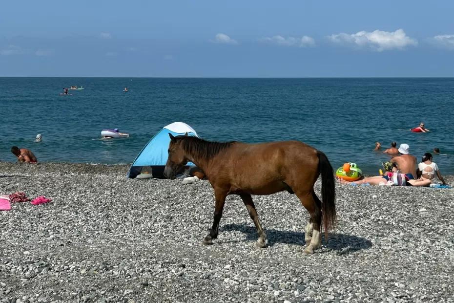 «Зима будет аномальная». Синоптики вновь поделились, к чему быть готовым - прогноз по месяцам