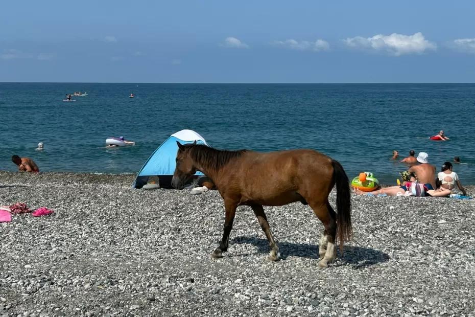 «Зима будет аномальная». Синоптики вновь поделились, чего ожидать - прогноз по месяцам