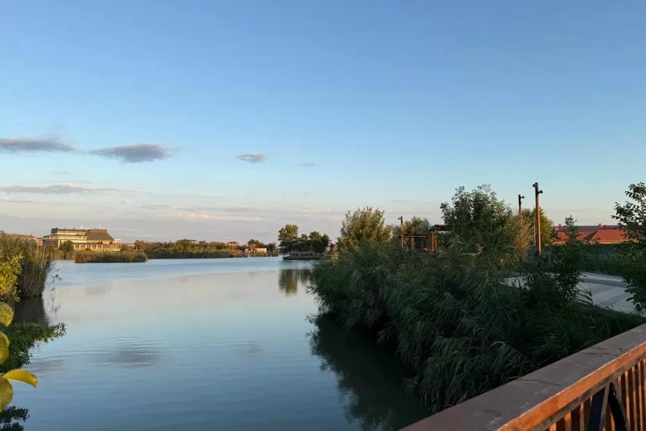 Погода этой осенью подкинет двойной сюрприз: Вильфанд рассказал, когда на самом деле ждать «бабье лето»