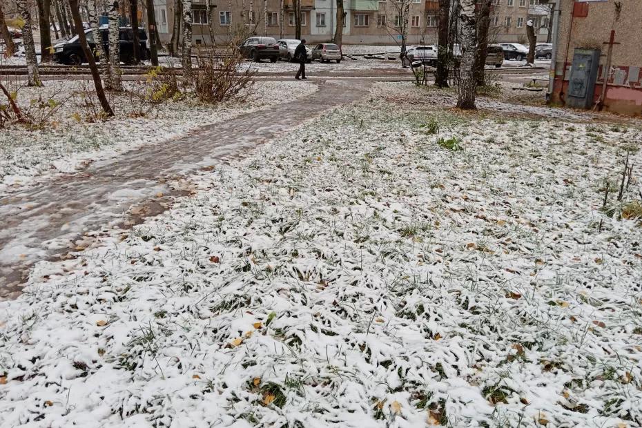 Первые заморозки ударят по Центральной России: синоптики назвали точные даты