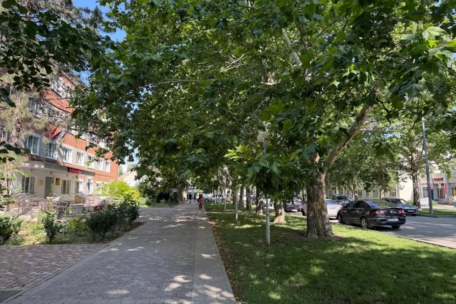 Эксперты ответили, к чему надо быть готовым: какой будет осень 2025 после аномального лета