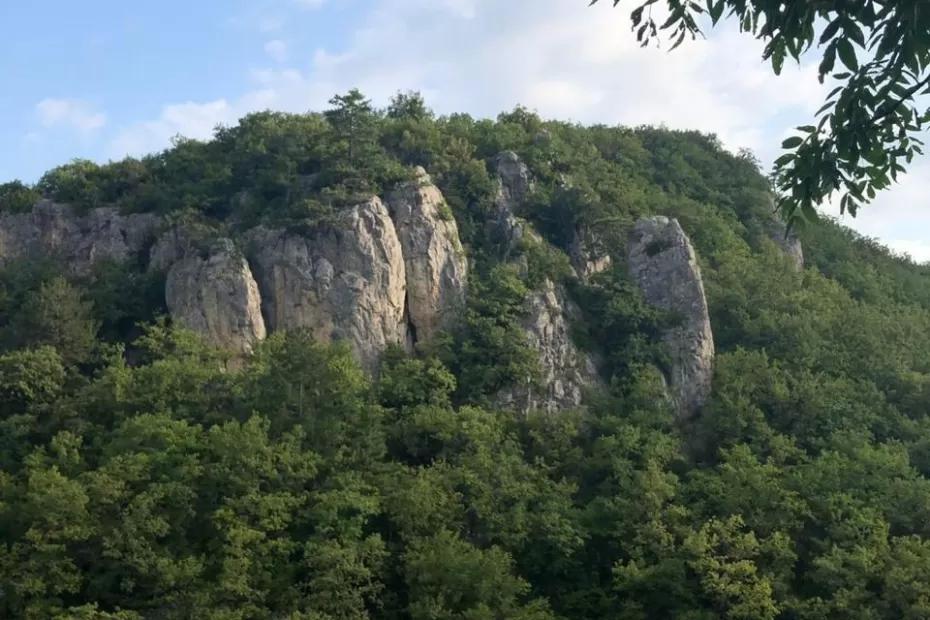 Теперь поняла, почему все туристы молчат про это место отдыха в Абхазии - я бы тоже не стала рассказывать