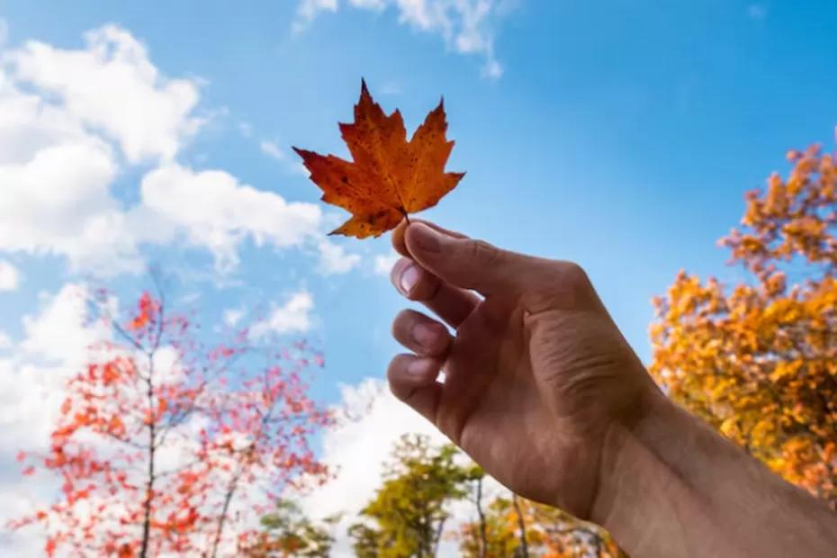 Синоптики подготовили новую информацию: в октябре придёт нечто, чего не было с 1879 года