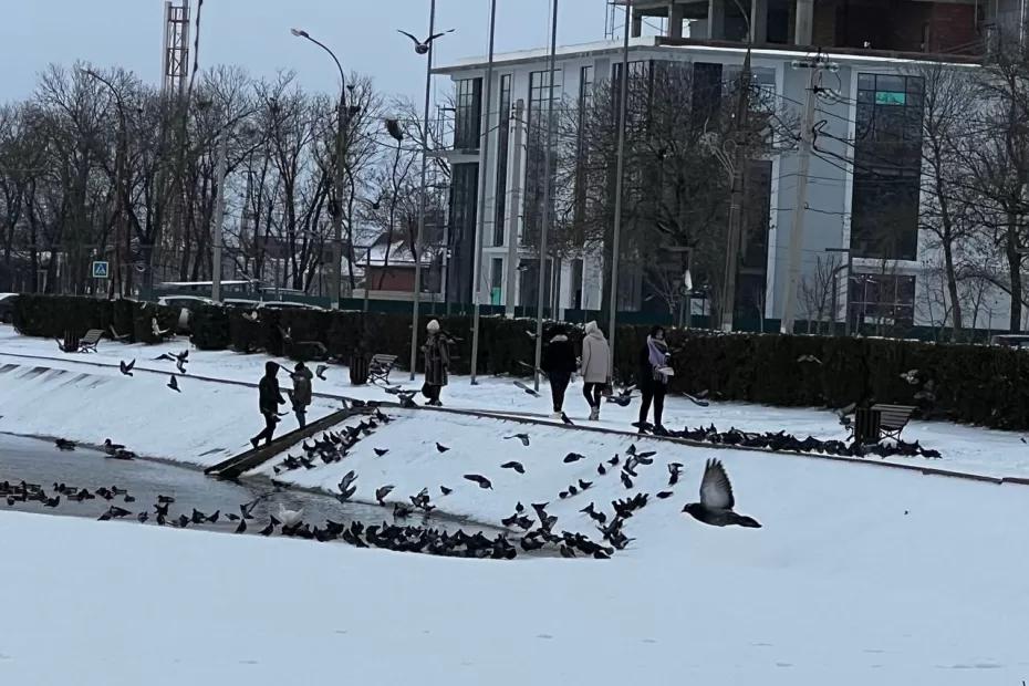 Морозы нагрянут раньше срока: Гидрометцентр назвал жителям России точную дату прихода зимы