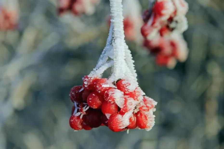 Синоптики опубликовали новую информацию по прогнозу и сказали к чему готовиться: «Зима будет аномальная»