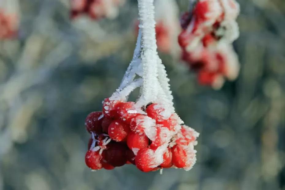 Синоптики дали россиянам новую информацию по прогнозу и сказали к чему готовиться: «Зима будет аномальная»