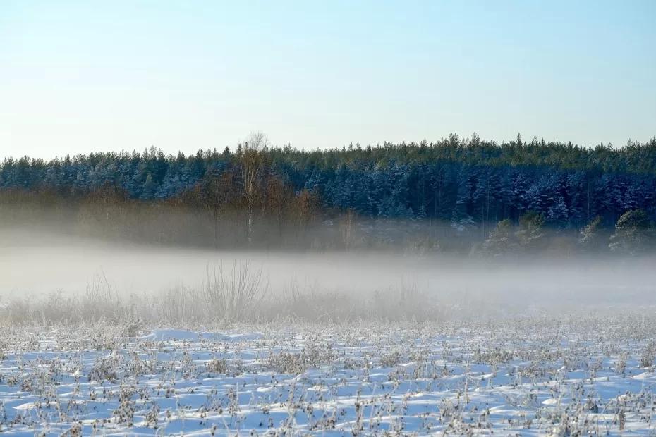Заморозки охватят Центральную Россию раньше обычного: синоптики назвали точную дату