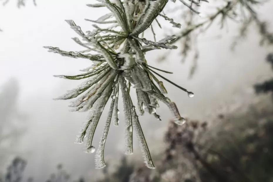 Синоптики подготовили новый зимний прогноз: зимой прогнозируют нечто, которого не видели с самого 1779 года