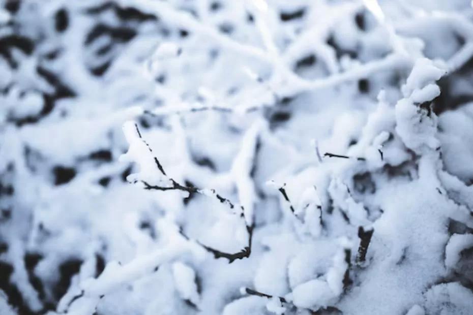 Обновленная информация по прогнозу погоды от синоптиков -  к чему готовиться совсем скоро: «Зима будет аномальная»