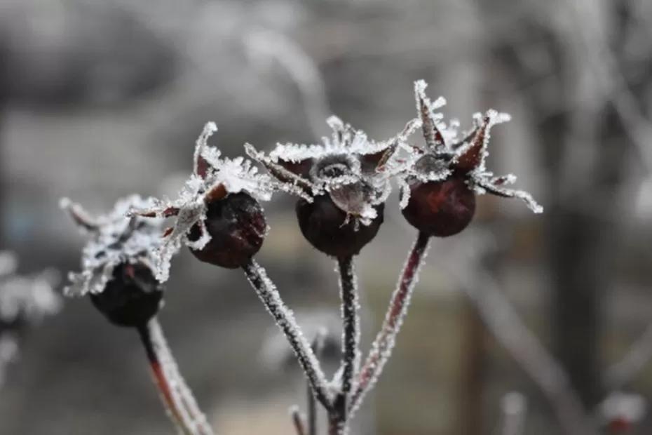 Новая информация по прогнозу погоды от синоптиков -  прибудет совсем скоро: «Зима будет аномальная»