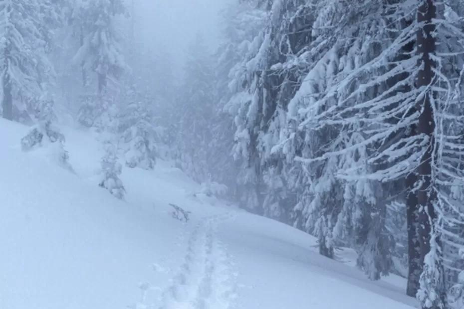 Синоптики подготовили прогноз на начало года: этой зимой прогнозируют нечто, которого не видели с самого 1779 года