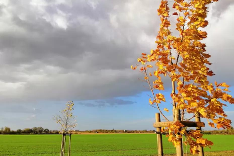 Синоптики рассказали, к чему готовиться россиянам этой осенью: подобной погоды в октябре не было с самого 1879 года