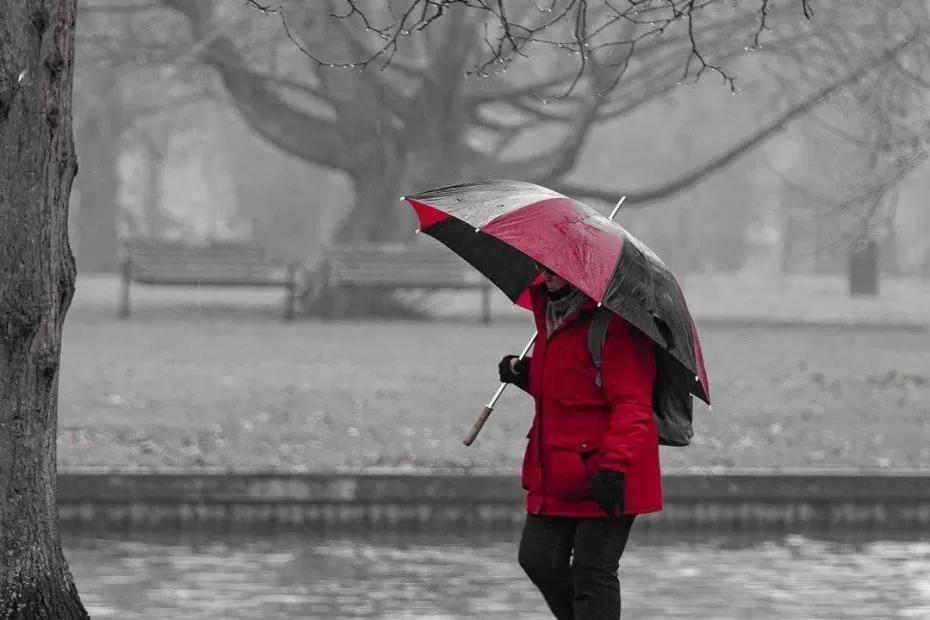 Эти регионы России уйдут под дождь в ноябре: прогнозы неутешительные