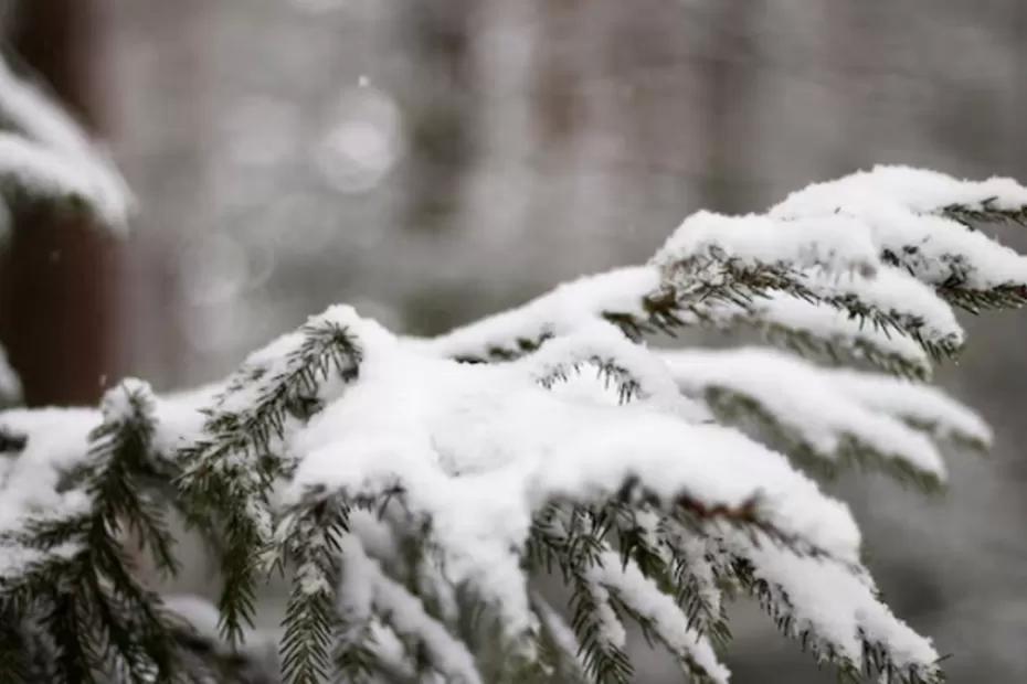 Новую информацию по прогнозу предоставили синоптики - придется готовиться совсем скоро: «Зима будет аномальная»