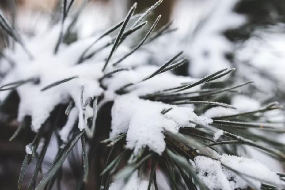 Обновленную информацию по прогнозу предоставили синоптики - придется готовиться совсем скоро: «Зима будет аномальная»