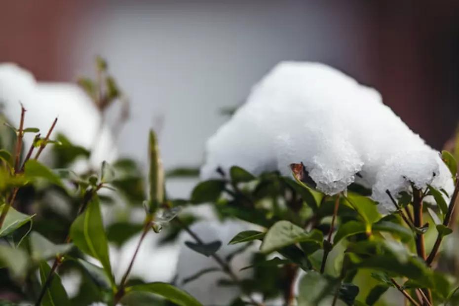 «Зима принесет аномалии». Новый прогноз от синоптиков на декабрь - придется готовиться совсем скоро