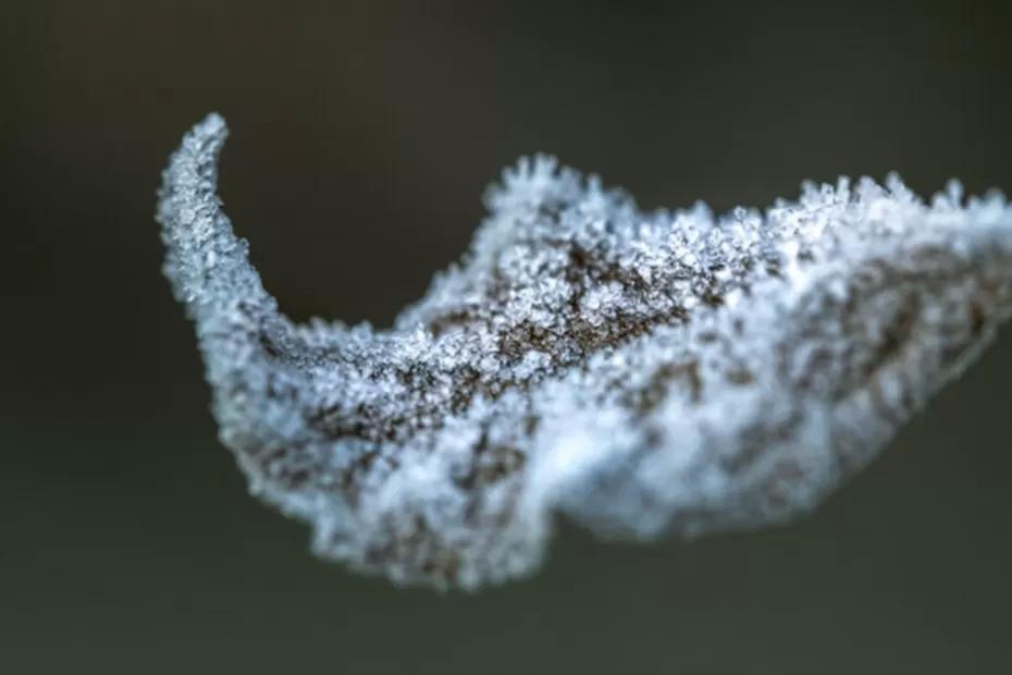 Впервые с 1879 года: синоптики сообщили, к чему готовиться россиянам этой осенью